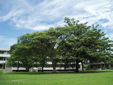 國立臺南大學附屬高級中學