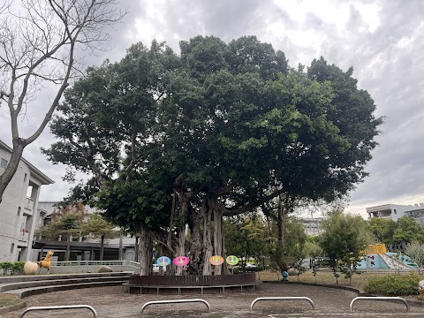 南投縣南投市南投國民小學
