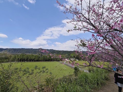 新竹縣關西鎮坪林國民小學