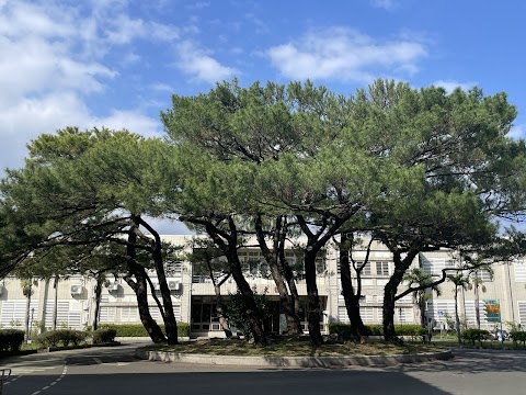 國立花蓮高級工業職業學校