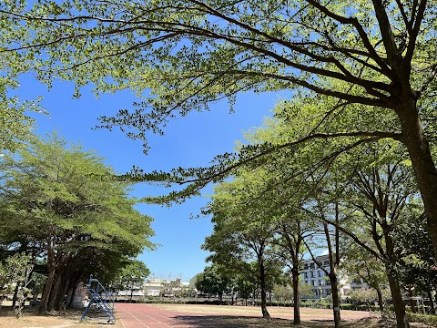 臺南市立大橋國民中學