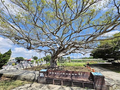 臺中市立后里區泰安國民小學