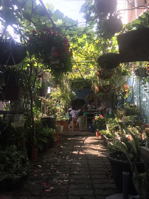 南投縣私立信愛幼兒園