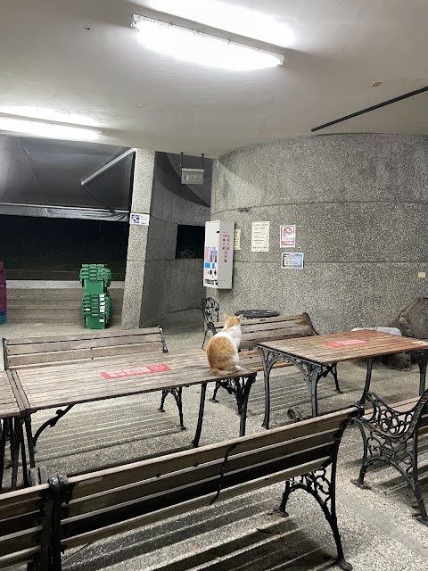 球球の窩