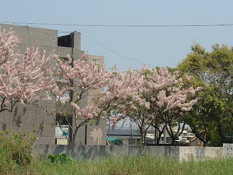 育民幼兒園