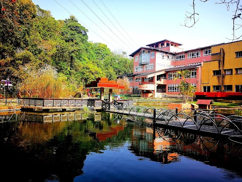 國立嘉義大學