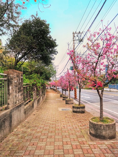 桃園市立楊明國民中學